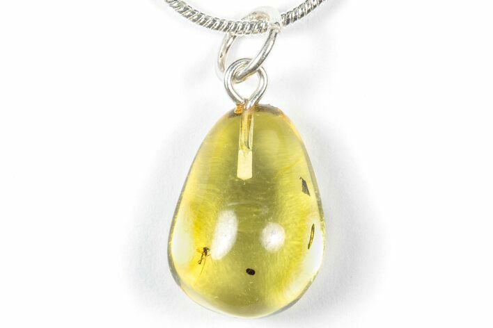 Polished Baltic Amber Pendant (Necklace) with Flies & Coprolite! #358001